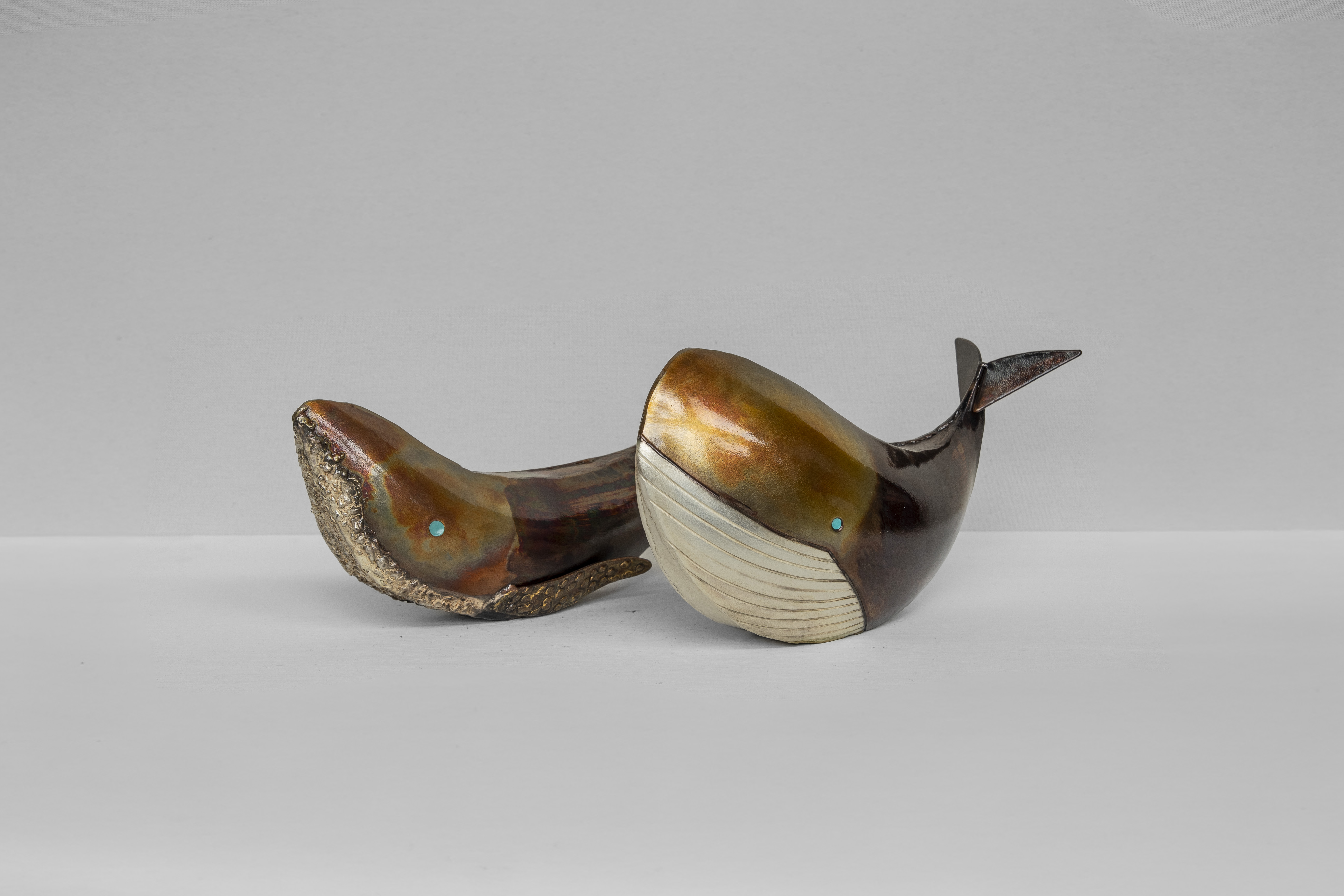 Ballena jorobada 3