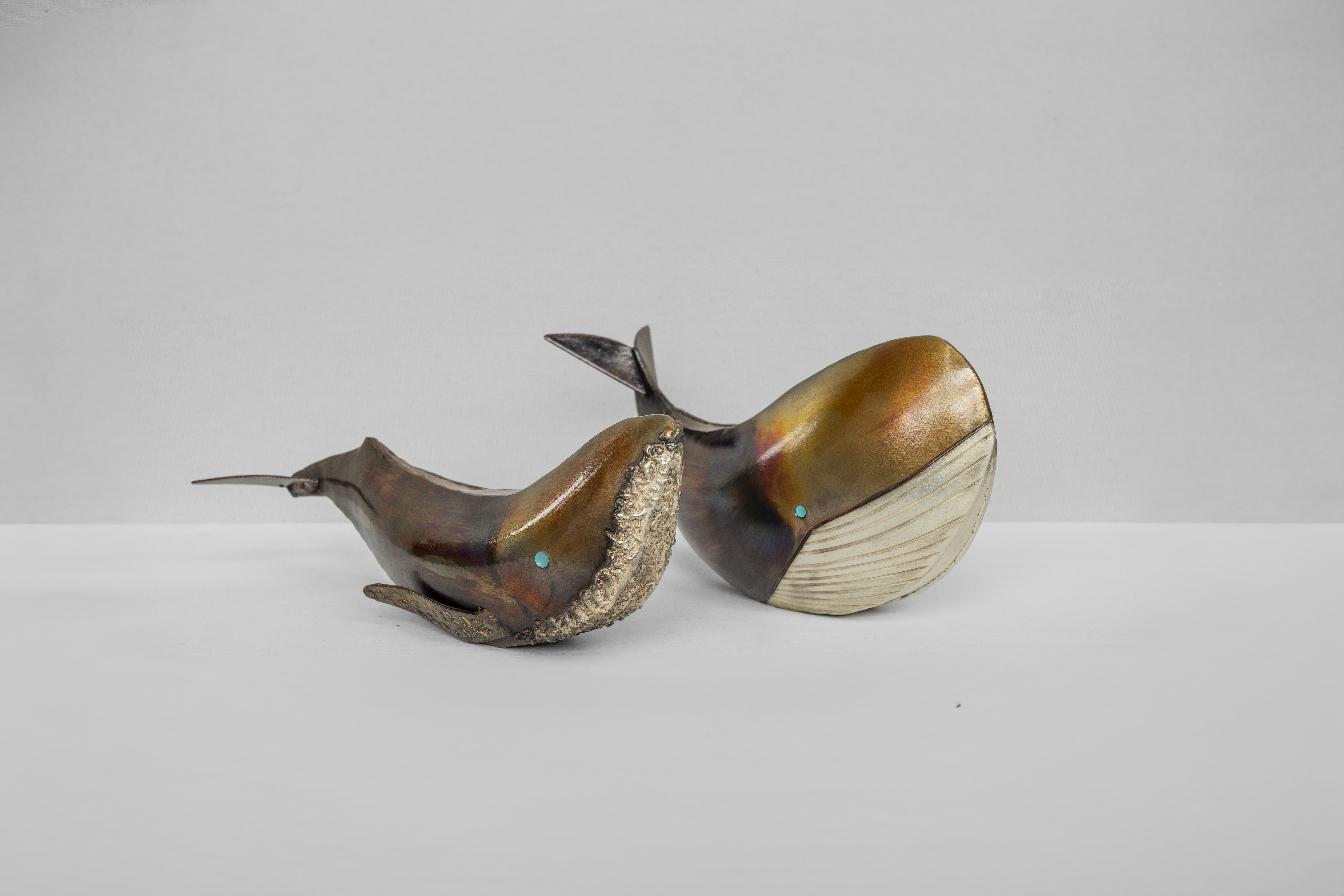Ballena jorobada