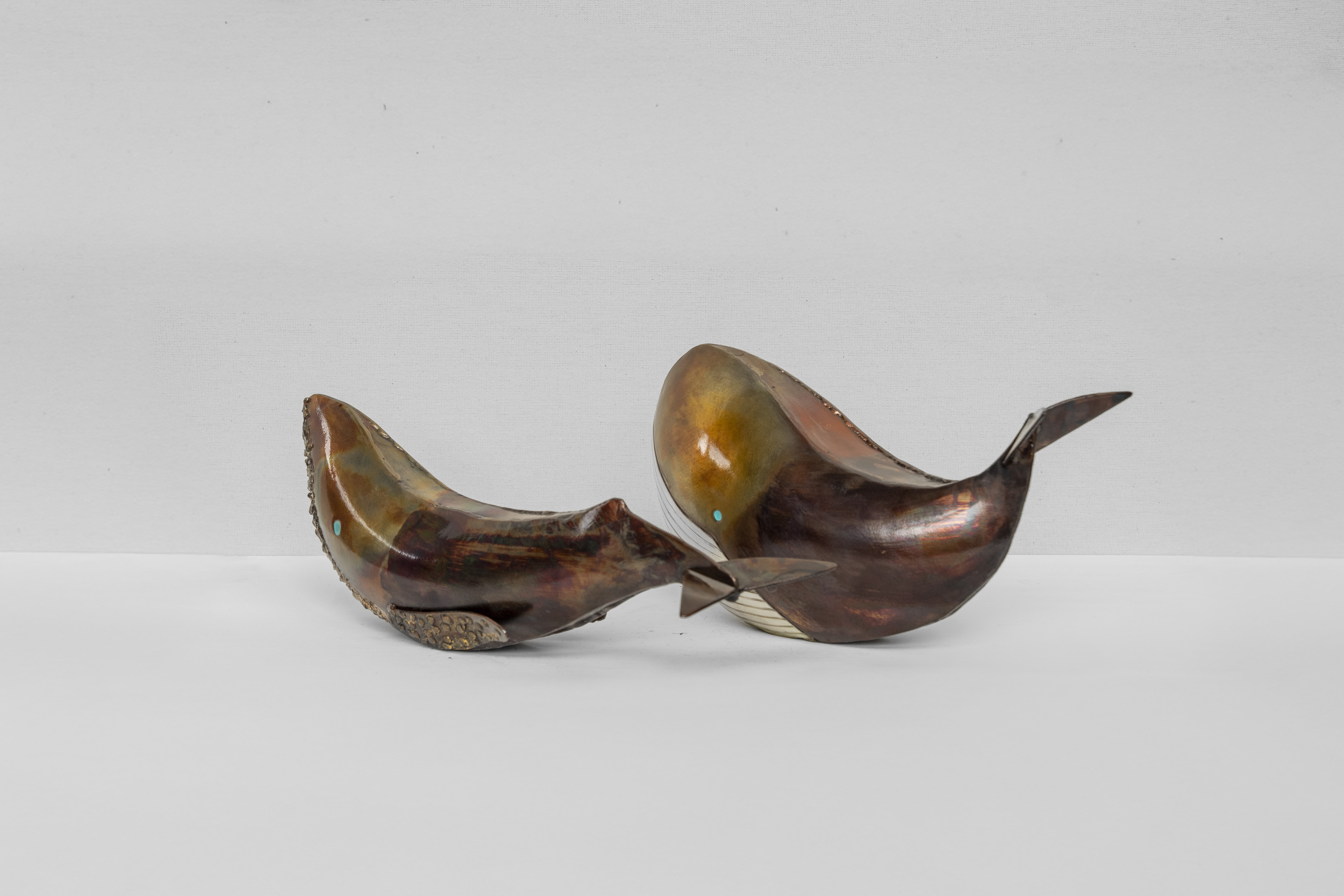 Ballena jorobada 4