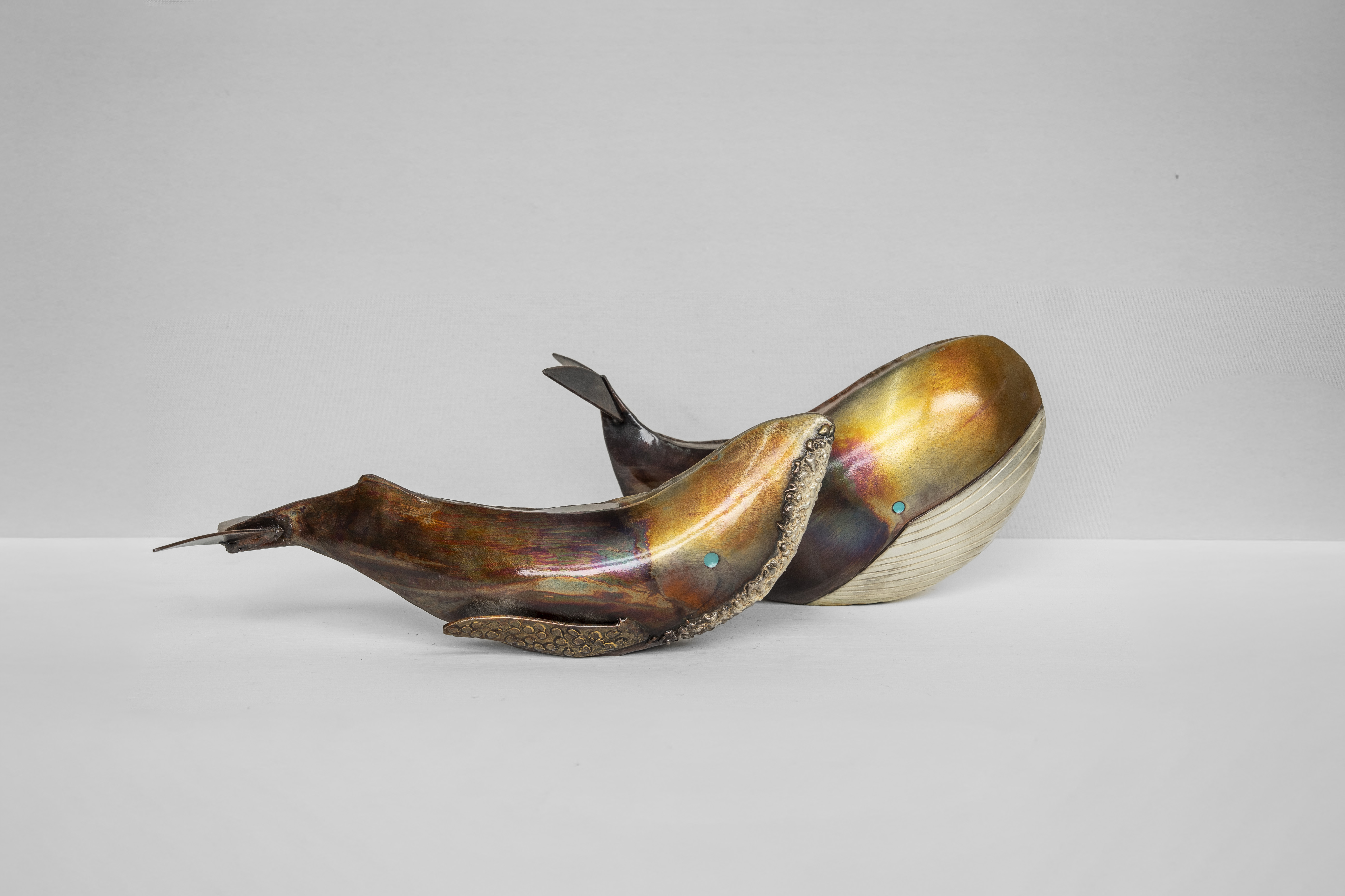 Ballena jorobada 2