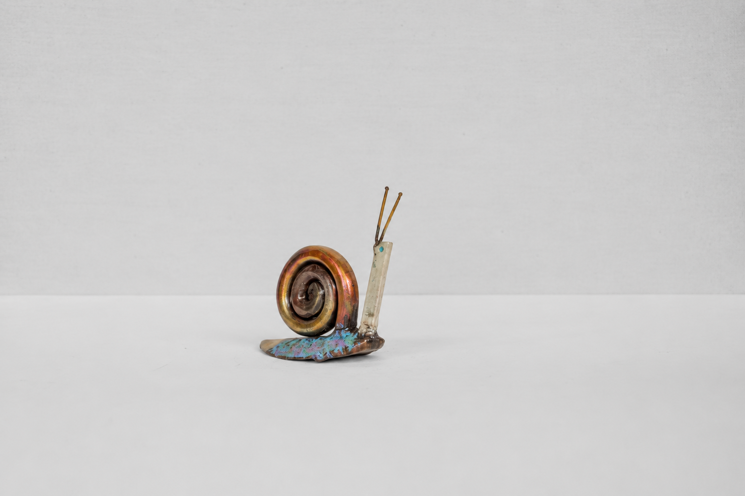 Caracol pequeño 2
