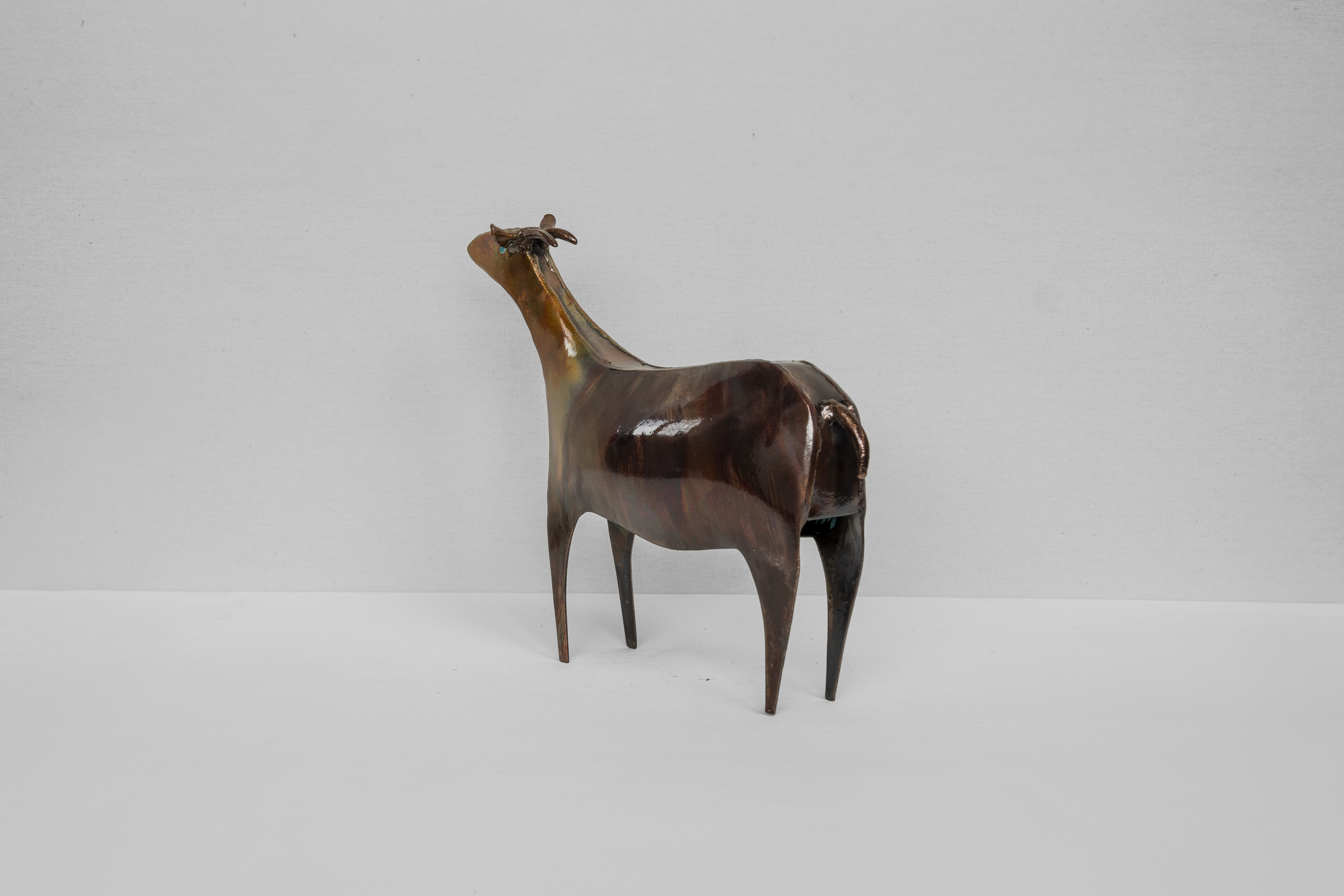 Chivo 4