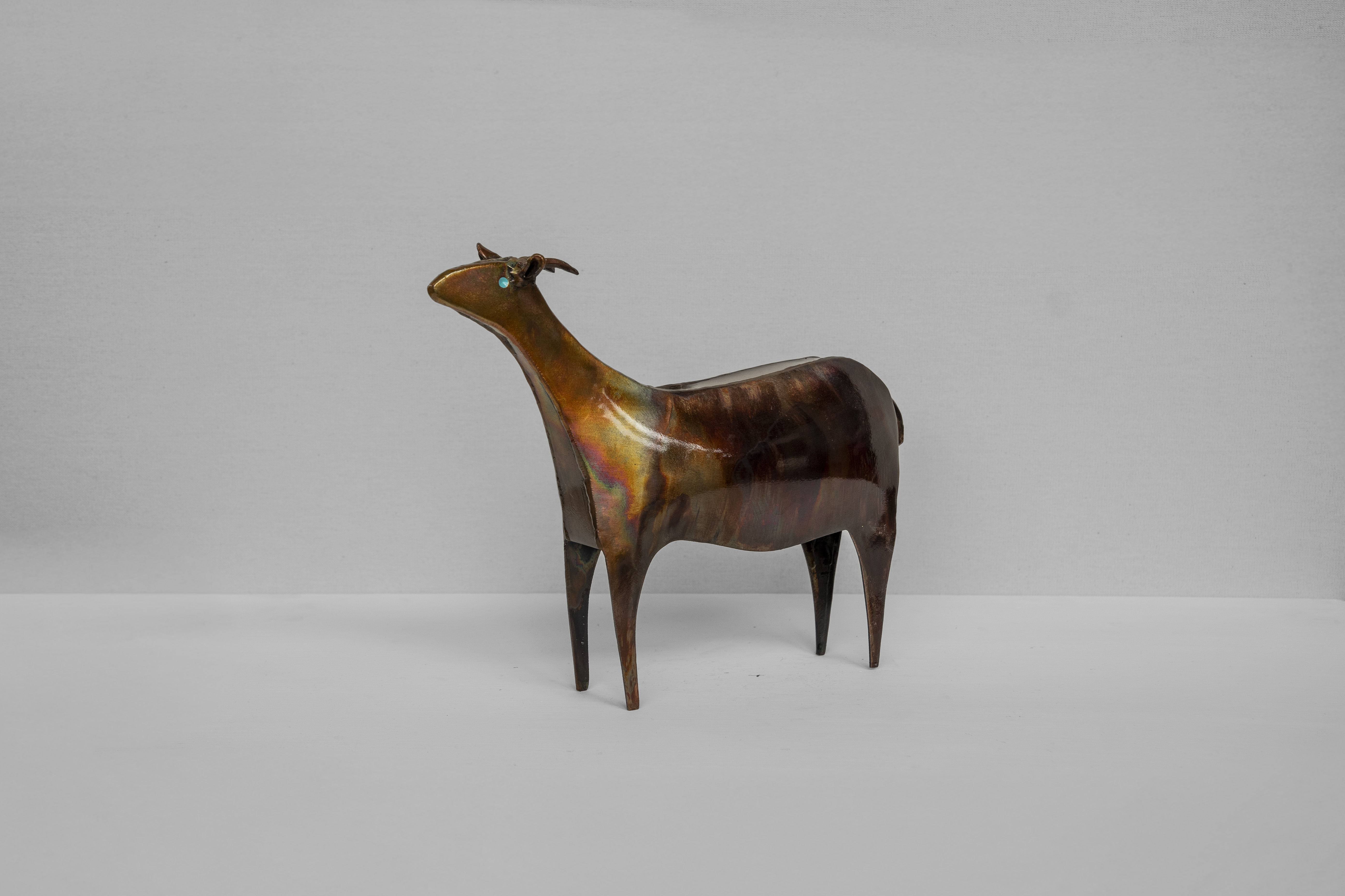 Chivo 5