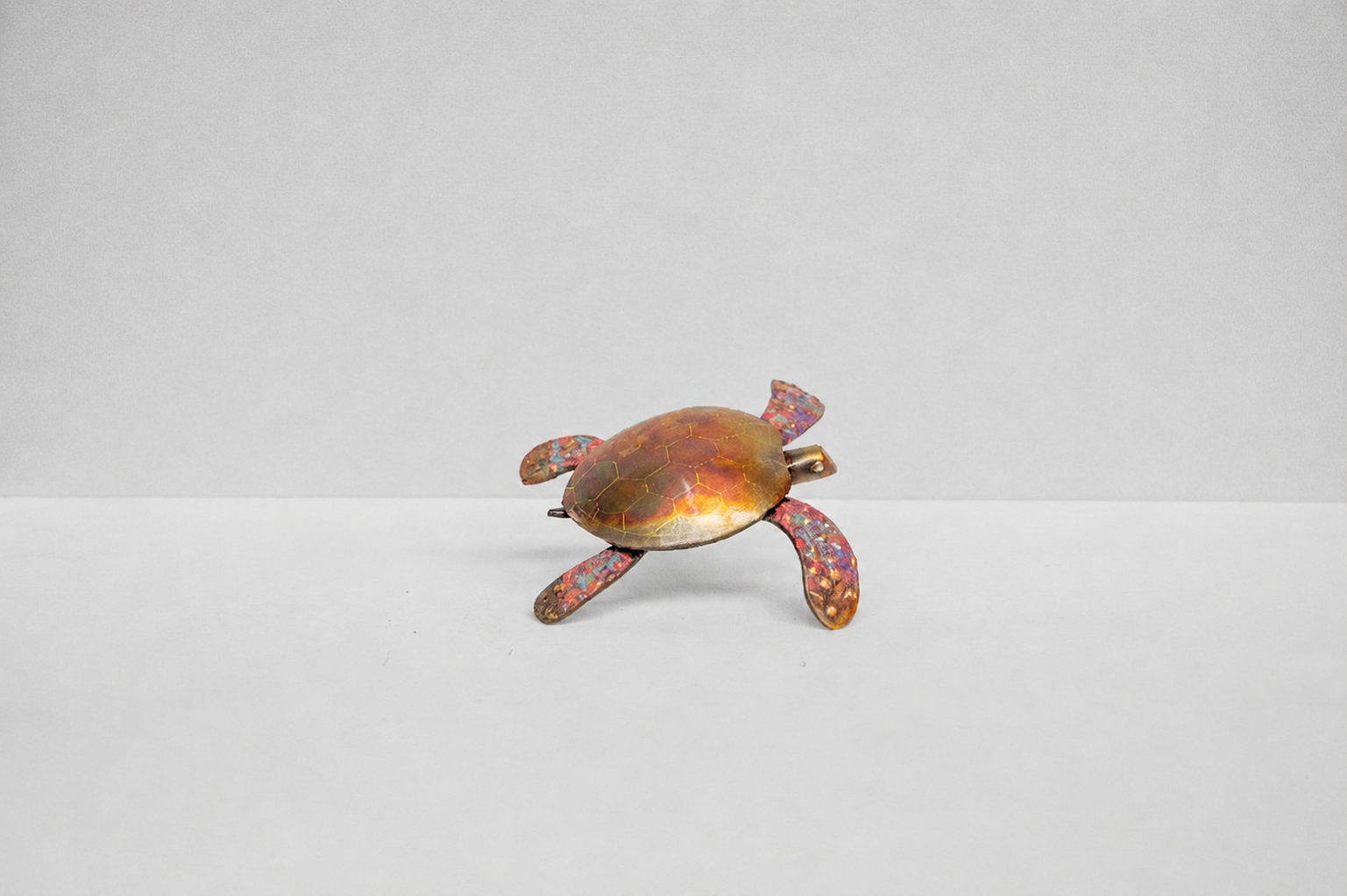 Tortuga marina mediana 3